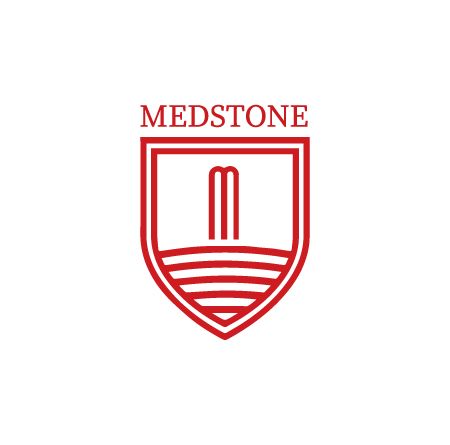 Logo Medstone